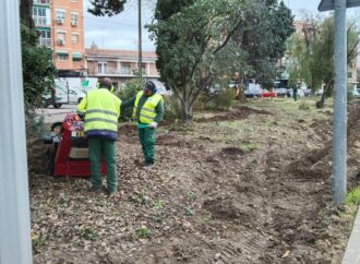 Alcalá aprueba mejoras en el contrato de mantenimiento de las zonas verdes y el arbolado de la ciudad