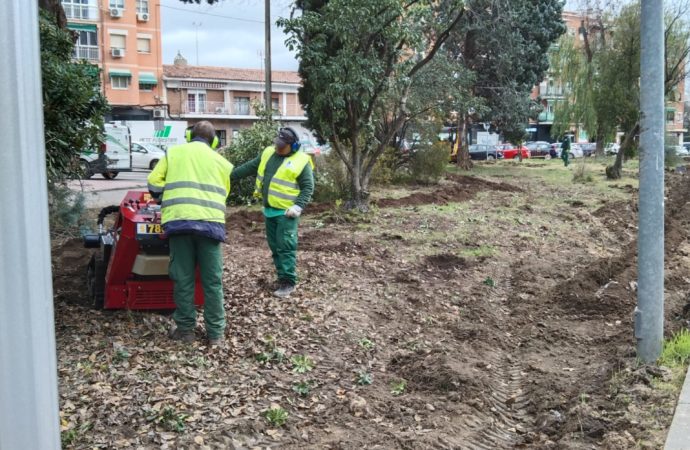 Alcalá aprueba mejoras en el contrato de mantenimiento de las zonas verdes y el arbolado de la ciudad