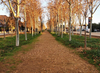 Las obras del paseo de la carretera de Alovera en Azuqueca de Henares comenzarán en febrero