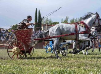 Los mejores gladiadores del imperio romano se darán cita en el Circus Máximus de Alcalá de Henares