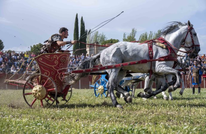 Los mejores gladiadores del imperio romano se darán cita en el Circus Máximus de Alcalá de Henares