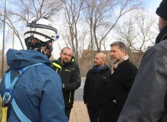 Comienza la retirada de vegetación y desbroce en la ribera del río Henares en Guadalajara