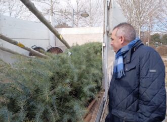 Cuarta campaña de arbolado en San Fernando con más de 250 nuevos ejemplares en diferentes zonas