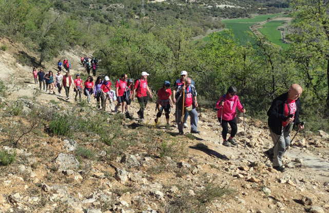 El Camino de Cervantes llegó a Nuevo Baztán con una ruta dedicada a los cuidados de la columna vertebral