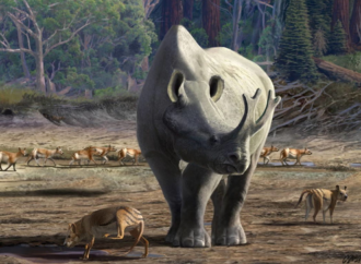 Así pueden evolucionar los animales hasta tamaños gigantes, según un estudio de la Universidad de Alcalá