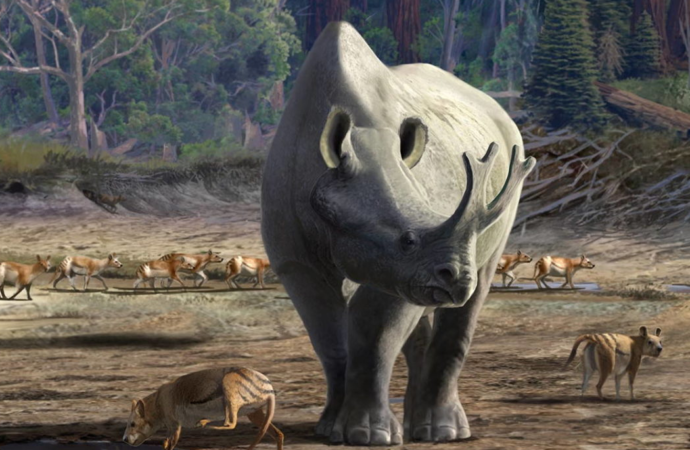 Así pueden evolucionar los animales hasta tamaños gigantes, según un estudio de la Universidad de Alcalá