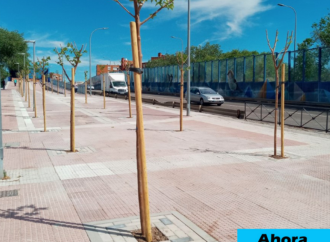 Renaturalización de varias zonas urbanas de Torrejón para hacerlas más verdes y sostenibles