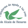 Las mallas anti-aves provocan diariamente la captura y muerte de numerosas aves / Por la Plataforma de ayuda a las aves de Alcalá