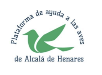 Las mallas anti-aves provocan diariamente la captura y muerte de numerosas aves / Por la Plataforma de ayuda a las aves de Alcalá