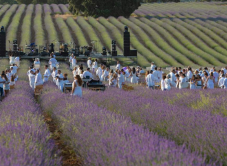 Festival de la Lavanda este viernes 14 y sábado 15 de julio en Brihuega