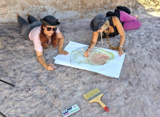 Nuevas huellas fósiles de vertebrados del Cretácico descubiertas en Tamajón por investigadores de la UAH