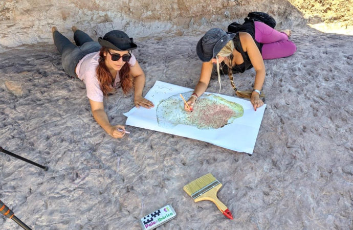 Nuevas huellas fósiles de vertebrados del Cretácico descubiertas en Tamajón por investigadores de la UAH