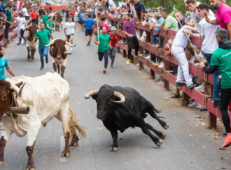 Ferias Alcalá / Así ha sido el segundo y último encierro de las Fiestas 2023