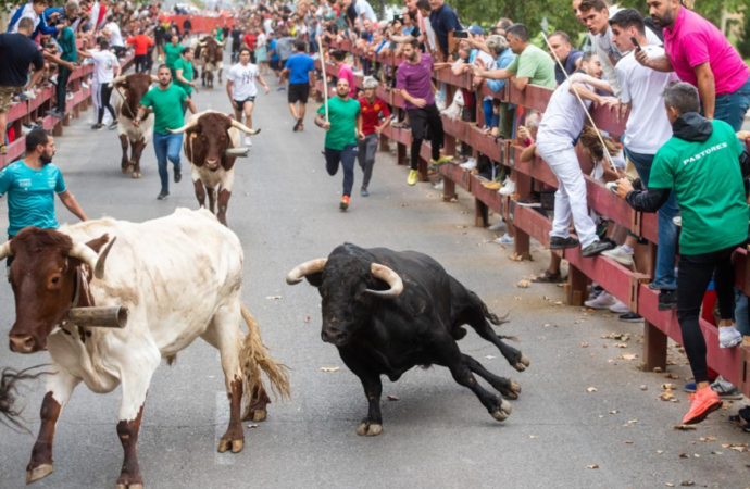 Ferias Alcalá / Así ha sido el segundo y último encierro de las Fiestas 2023