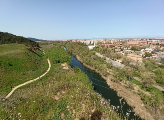 Nuevas Rutas Ambientales gratuitas en Alcalá de Henares: consulta el programa de febrero a abril de 2026