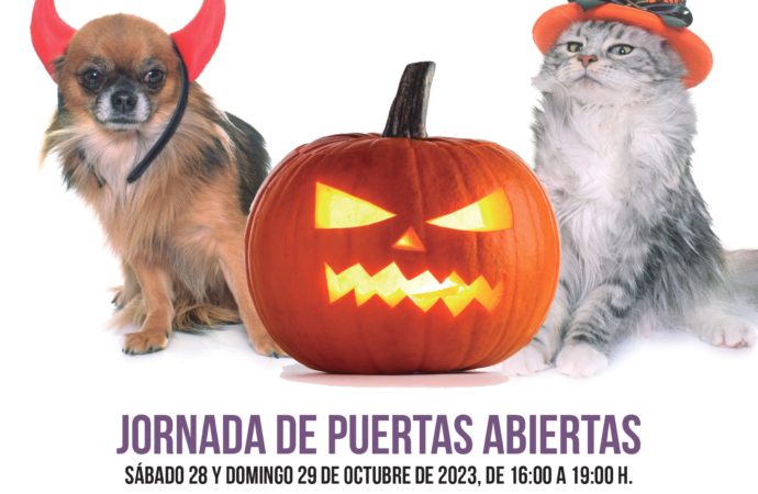 Jornada de puertas abiertas en el CIMPA de Alcalá el fin de semana del 28 y 29 de octubre 