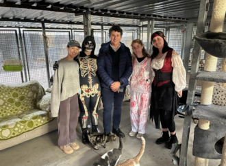 Jornada de Puertas abiertas en el CIMPA de Alcalá con Halloween, perros, gatos, y mucho más