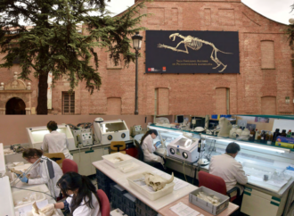 Alcalá acogerá la Reunión de museos de ciencia y técnica en el Museo Arqueológico y Paleontológico de la Comunidad de Madrid 