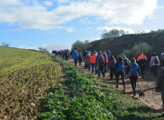 Daganzo acogió la cuarta ruta del «Camino de Cervantes», dedicada a la disautonomía