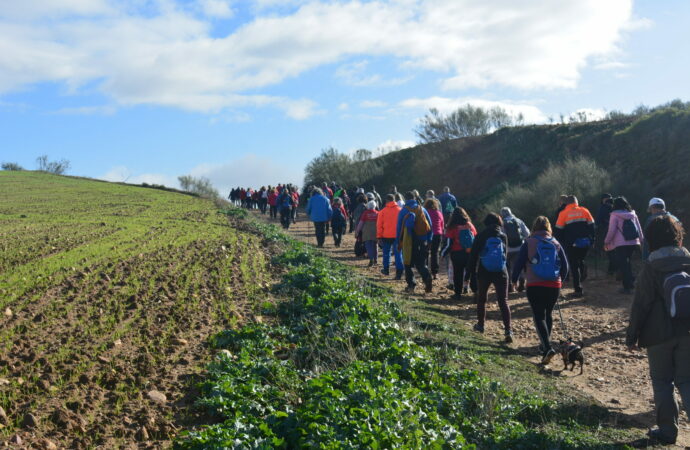 Daganzo acogió la cuarta ruta del «Camino de Cervantes», dedicada a la disautonomía
