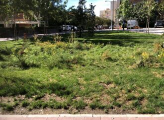 Alcalá apuesta por soluciones basadas en la naturaleza como el jardín que recoge agua de lluvia del Parque Tierno Galván 