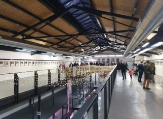 Abierta la exposición con las fotos de las Fiestas 2022 y 2023 en el Mercado de Abastos de Guadalajara