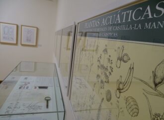 Exposición de la artista botánica Marta Chirino en Alcalá de Henares