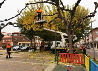 Campaña municipal de poda en Azuqueca de Henares