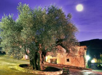 La Sierra Norte de Guadalajara gana población por primera vez desde 2010