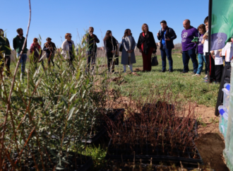 Alcalá, reconocida como Ciudad Arbolada del Mundo 2023