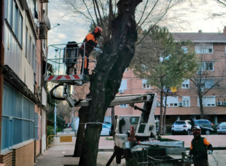 En marcha el Plan de Poda en los diferentes barrios de Alcalá