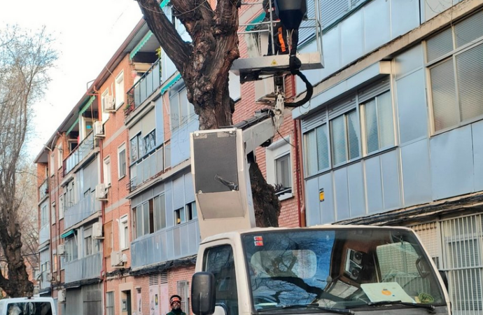 Continúan las labores de poda por los barrios de Alcalá de Henares