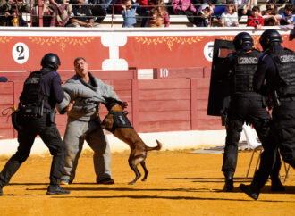 Este viernes 27, Torrejón celebra una exhibición de unidades caninas militares y policiales