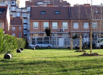 Nueva plantación en Alcalá con más de un centenar de árboles en la zona deportiva de El Ensanche