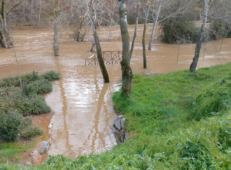 El Río Henares se desbordó a su paso por Guadalajara tras las lluvias del fin de semana