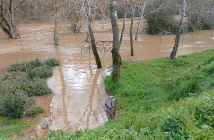 El Río Henares se desbordó a su paso por Guadalajara tras las lluvias del fin de semana