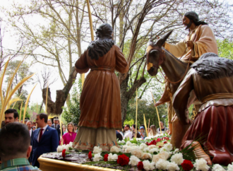 Semana Santa de Guadalajara: así fue el Domingo de Ramos con «la Borriquilla» y el Cristo de la Expiración
