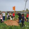 Una veintena de familias de Horche contribuyeron a mejorar el entorno en el IV Día del Árbol