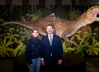 ‘Cazadores de Dragones’, la nueva exposición del Museo Arqueológico y Paleontológico abierta en Alcalá