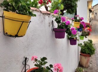 Cogolludo vivirá un mes de mayo lleno de flores y tradiciones