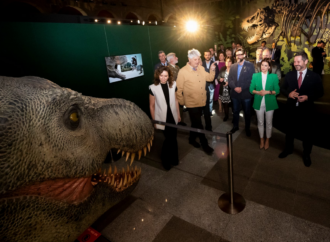 Museo Arqueológico y Paleontológico Regional: reconocimiento del Ayuntamiento de Alcalá