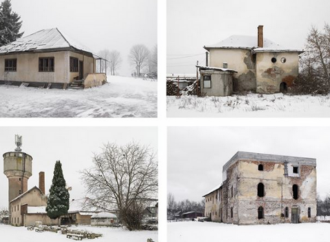 Xavier Ferrer gana el Premio de Honor del Concurso Nacional de Fotografía ‘Abeja de Oro’ en Guadalajara