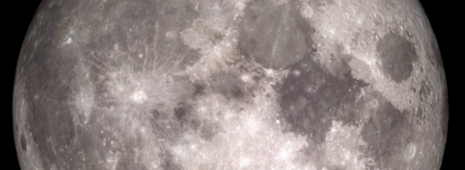 Detenidos los dueños de un gimnasio de Nueva Alcalá por venta de anabolizantes y éxtasis