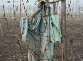 Premio Ciudad de Alcalá de Fotografía 2024 para el fotoperiodismo documental del italiano Mario Curti