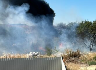 Detenida en Torrejón la presunta autora del incendio ocurrido junto al Cementerio municipal y de otros fuegos provocados anteriormente en el entorno del río Henares