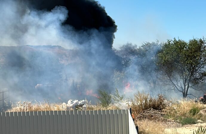 Detenida en Torrejón la presunta autora del incendio ocurrido junto al Cementerio municipal y de otros fuegos provocados anteriormente en el entorno del río Henares