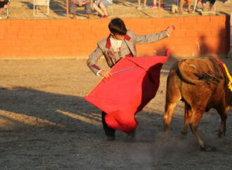 Programa Fiestas de Tamajón del 10 al 19 de agosto