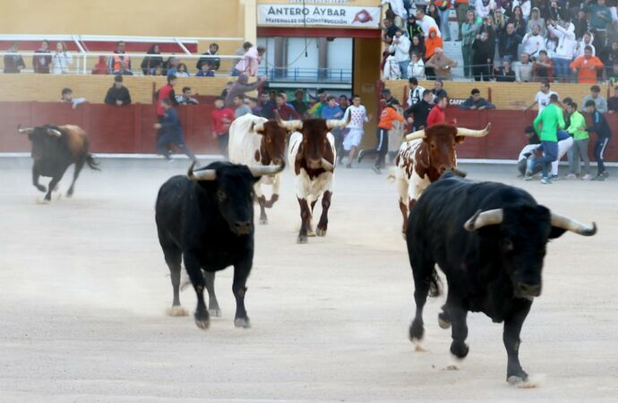 Así fueron los primeros encierros de las Fiestas de Guadalajara 2024