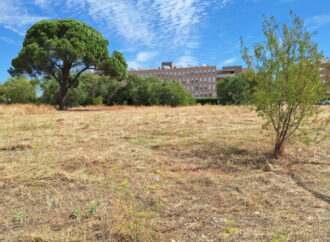 El barrio de El Olivar en Alcalá tendrá una nueva zona de deportes y juegos