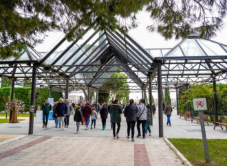 Día de Todos los Santos en Torrejón: se amplía el horario del cementerio y se refuerza el servicio de autobuses